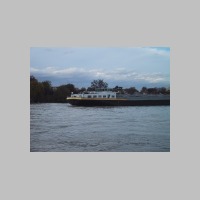 IMG_4859.JPG
