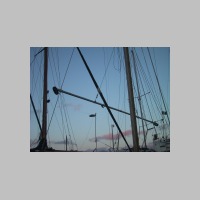 IMG_4984.JPG