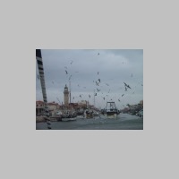 IMG_5205.JPG