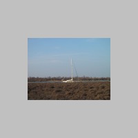 IMG_5233.JPG
