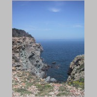 IMG_5279.JPG