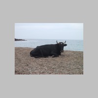 IMG_5346.JPG