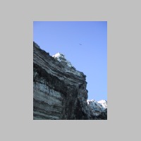 IMG_5532.JPG