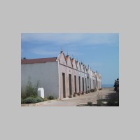 IMG_5561.JPG
