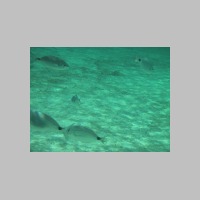IMG_5646.JPG