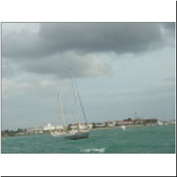 IMG_6159_7.JPG