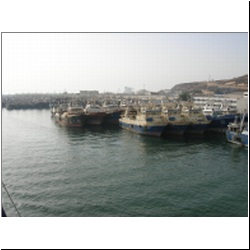 IMG_6309_06.JPG