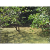 007_Waterfall.JPG