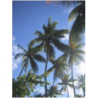 032_Boipeba.jpg