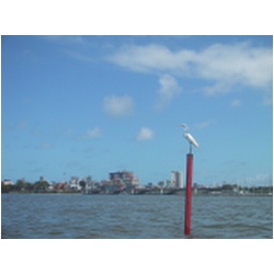 01_Recife.JPG