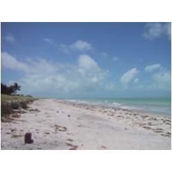 08_Itamaraca.JPG