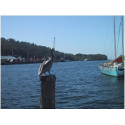 022_Chaguaramas.JPG