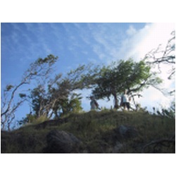 022_Carriacou.JPG