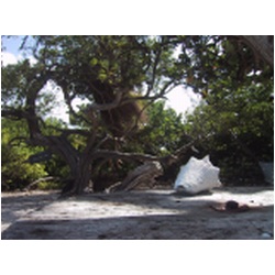 048_white_island.JPG