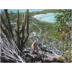 057_white_island.JPG