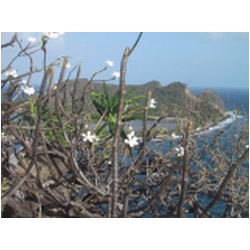 071_white_island.JPG