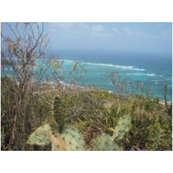 093_Pt.Martinique.JPG