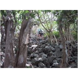 098_Pt.Martinique.JPG