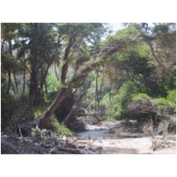 151_Bequia_Hope_Bay.JPG