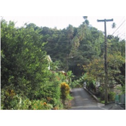 176_ST.Vincent_Cumberland_Bay.JPG
