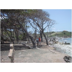 017_Grand_Bay_Carriacou.JPG