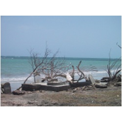 018_Grand_Bay_Carriacou.JPG
