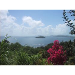 025_Tour_Martinque.JPG