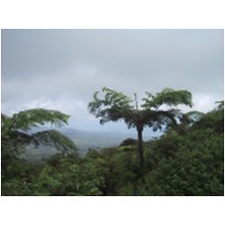 027_Mont_Pele.JPG