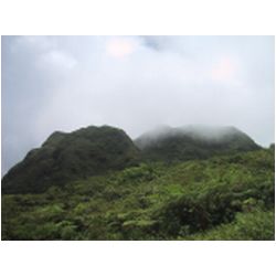 030_Mont_Pele.JPG