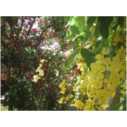 057_Bequia_Hope_Bay.JPG