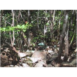 061_Bequia_Hope_Bay.JPG