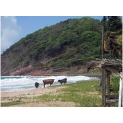 063_Bequia_Hope_Bay.JPG