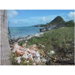 096_Union_Frigate_Island.JPG
