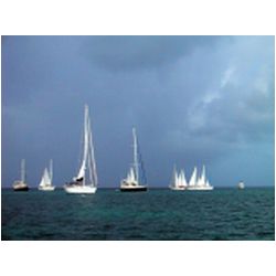 001_Carriacou_Regatta.jpg