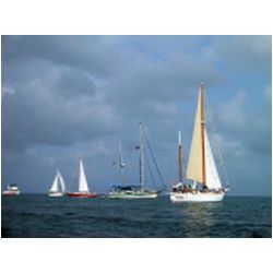 002_Carriacou_Regatta.jpg