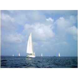 005_Carriacou_Regatta.jpg