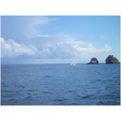 017_Carriacou_Regatta.jpg