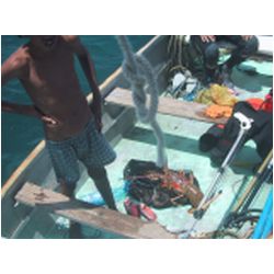 069_Lobster.jpg