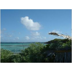 026_petite_terre.jpg