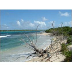 029_petite_terre.jpg