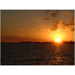 002_cocoa_point_barbuda.jpg
