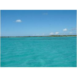 004_spanish_point_barbuda.jpg