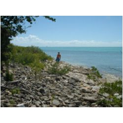 022_gravenor_bay_barbuda.jpg