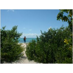 026_gravenor_bay_barbuda.jpg