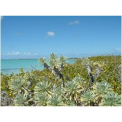 030_gravenor_bay_barbuda.jpg