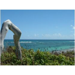 038_east_coast_barbuda.jpg