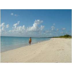 090_low_bay_barbuda.jpg
