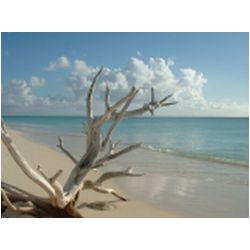 092_low_bay_barbuda.jpg