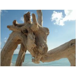 093_low_bay_barbuda.jpg