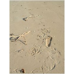 095_low_bay_barbuda.jpg
